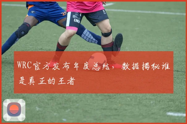 WRC官方发布年度总结,数据揭秘谁是真正的王者